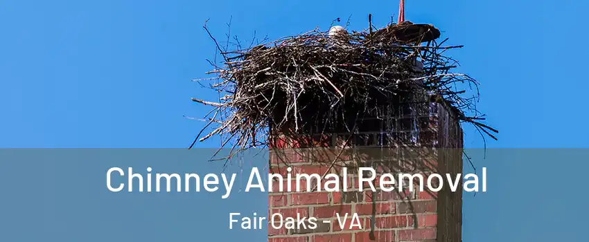 Chimney Animal Removal Fair Oaks - VA