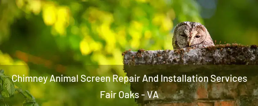  Chimney Animal Screen Repair And Installation Services Fair Oaks - VA