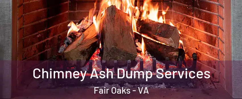  Chimney Ash Dump Services Fair Oaks - VA