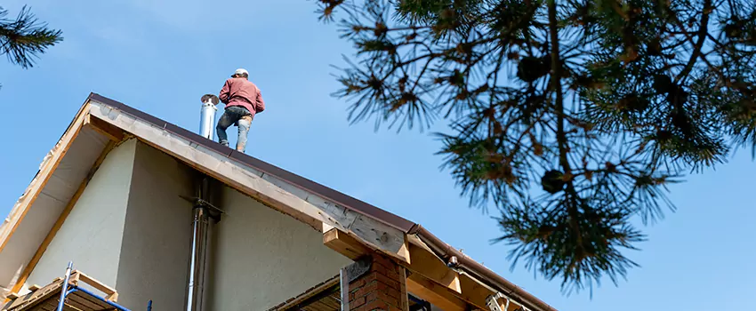 Birds Removal Contractors from Chimney in Fair Oaks, VA